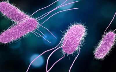 The Food Recalls and Salmonella Alerts Issued This Month: What Consumers Need to Know