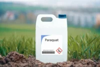 Paraquat Spreading Across Bangladesh Despite Bans in 77 Countries